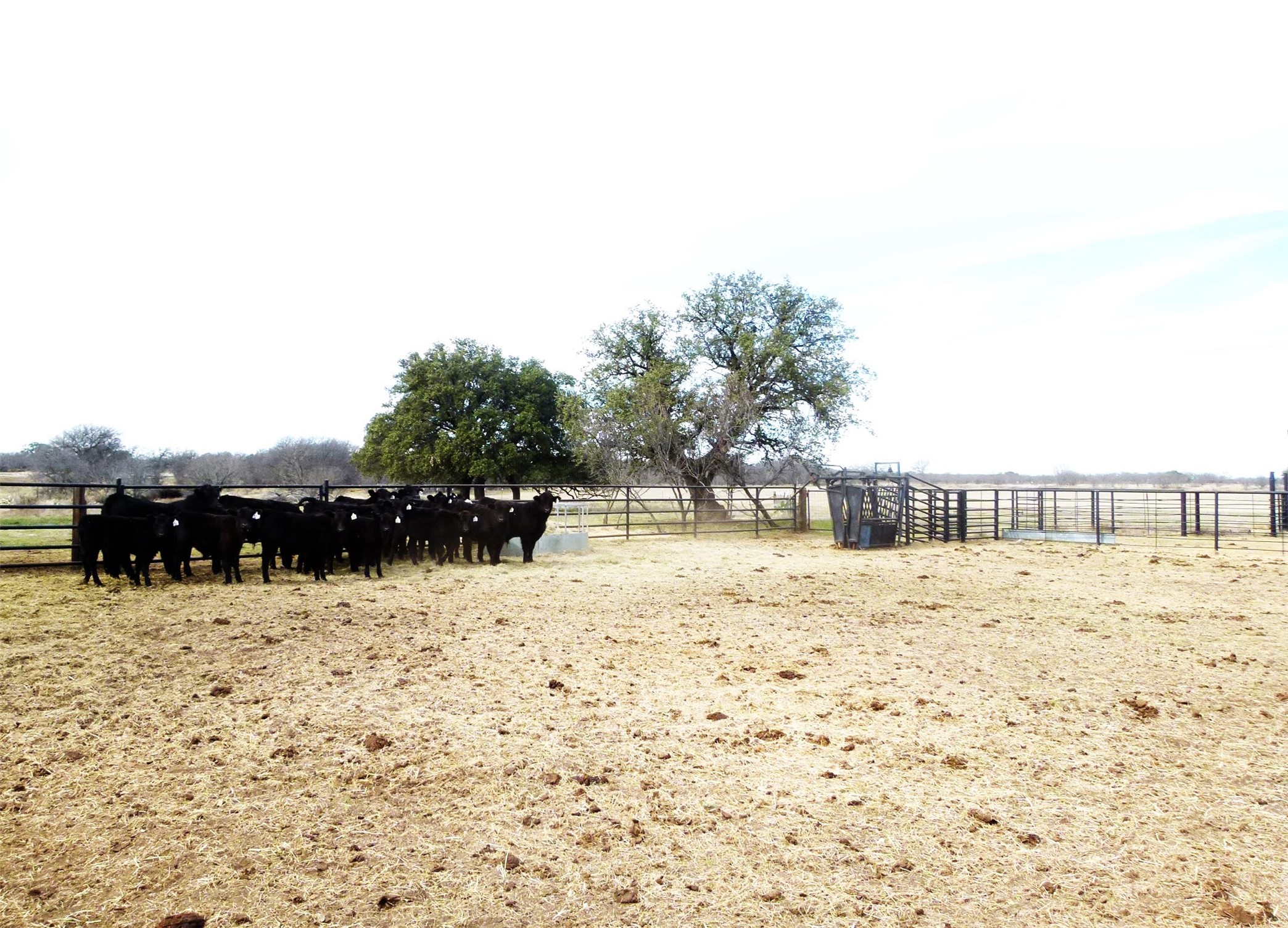 6500A Fm 586 Bangs TX 76823