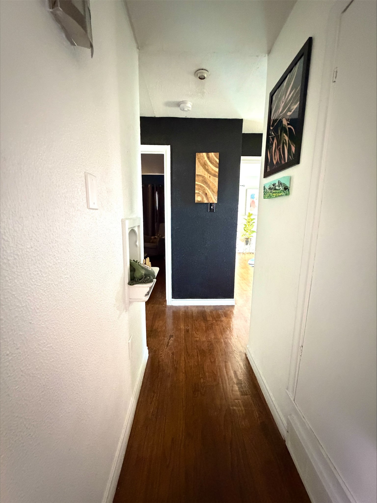 2818 Tolosa Drive Dallas TX 75228
