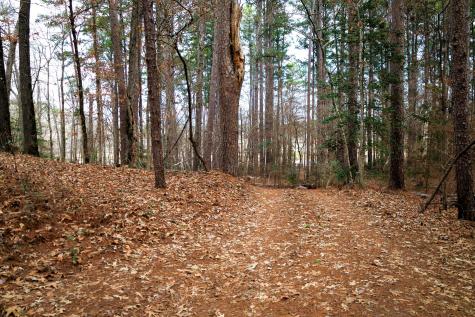 15398 County Road 26 Road Tyler TX 75707