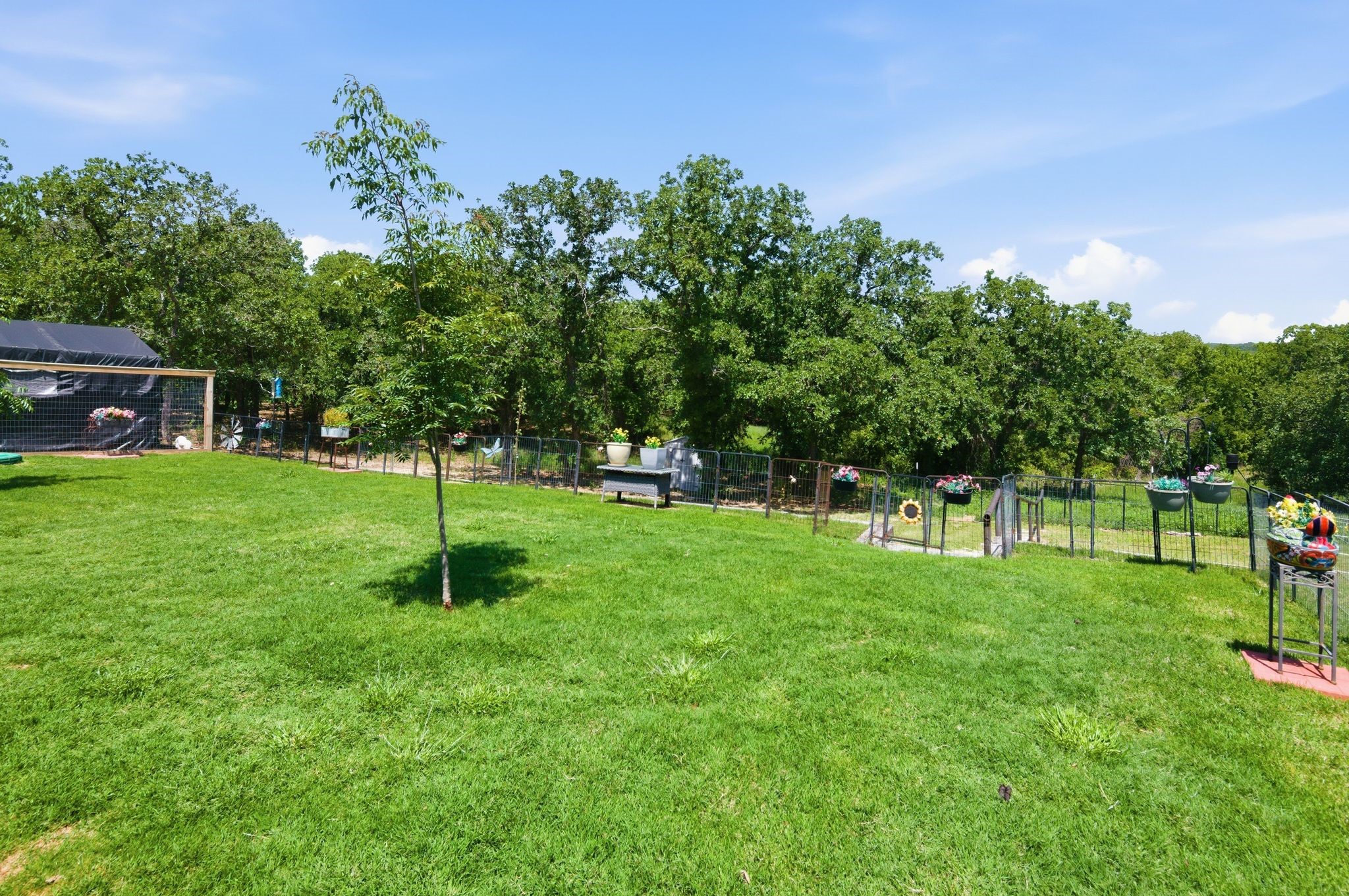 112 Monarch Lane Poolville TX 76487
