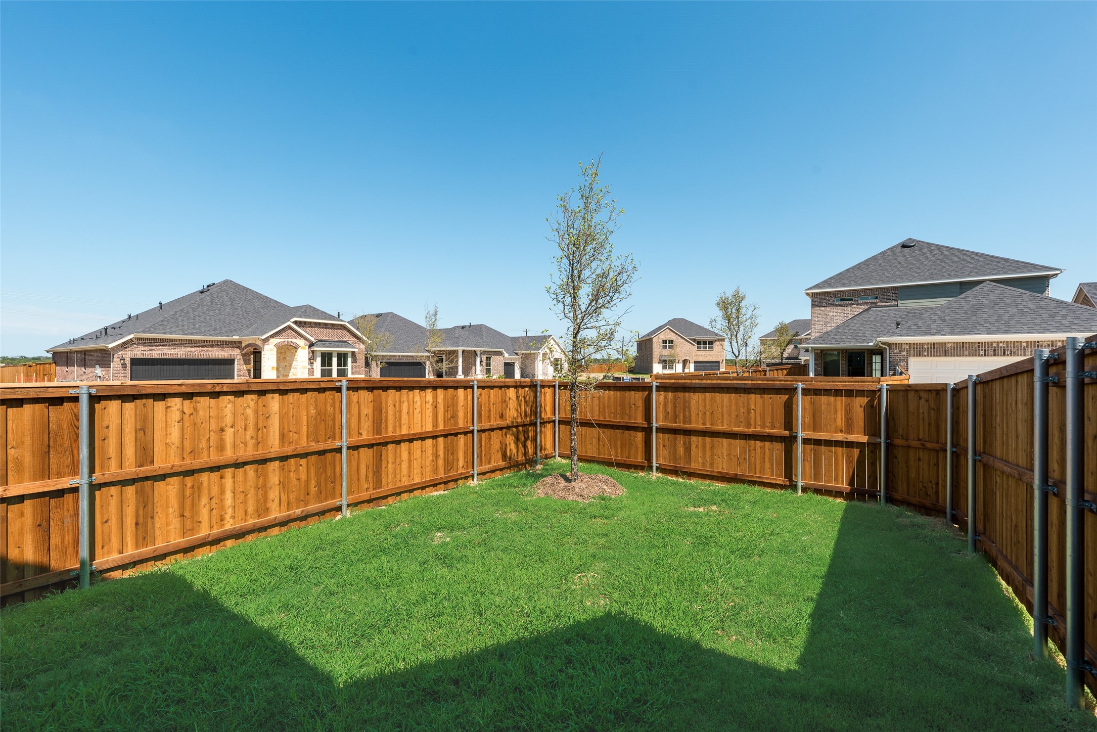 3129 Buckeye Street Celina TX 75009