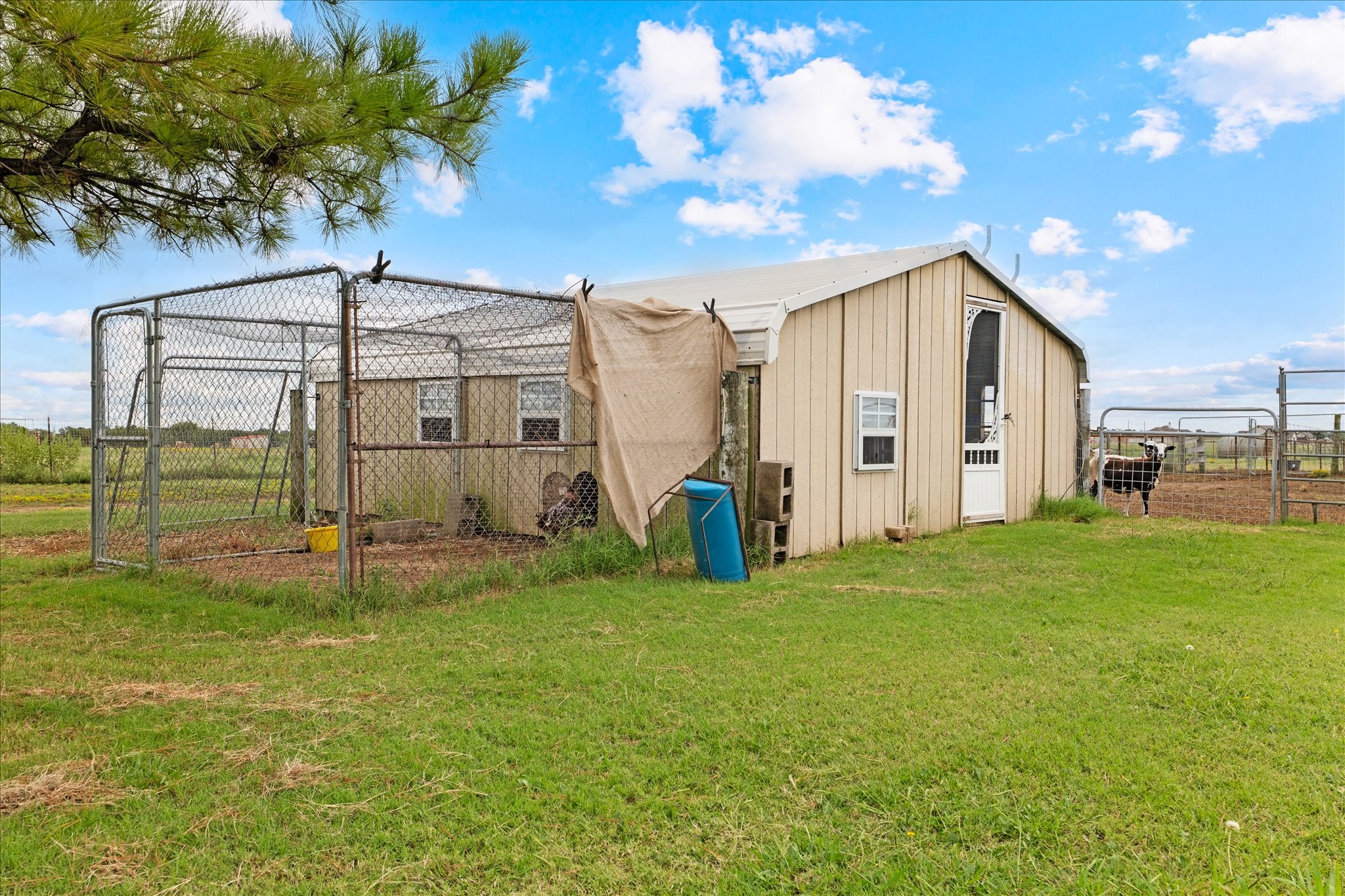 3300 Airport Road Tioga TX 76271