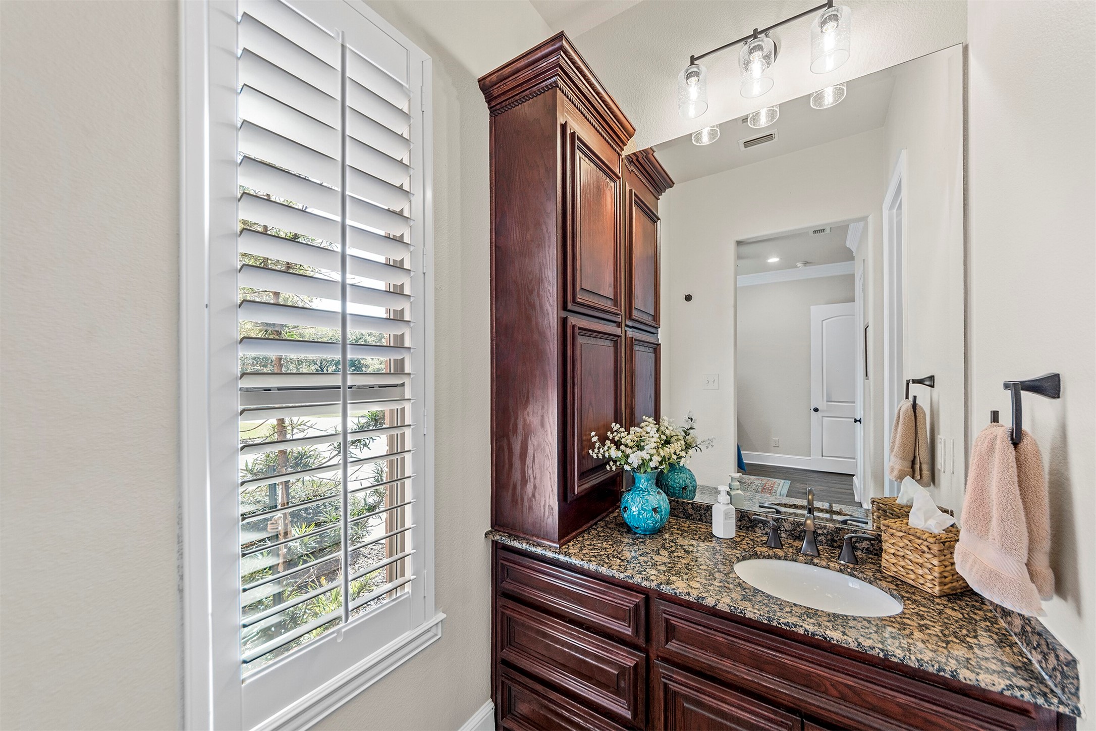 1900 Oak View Court Cross Roads TX 76227