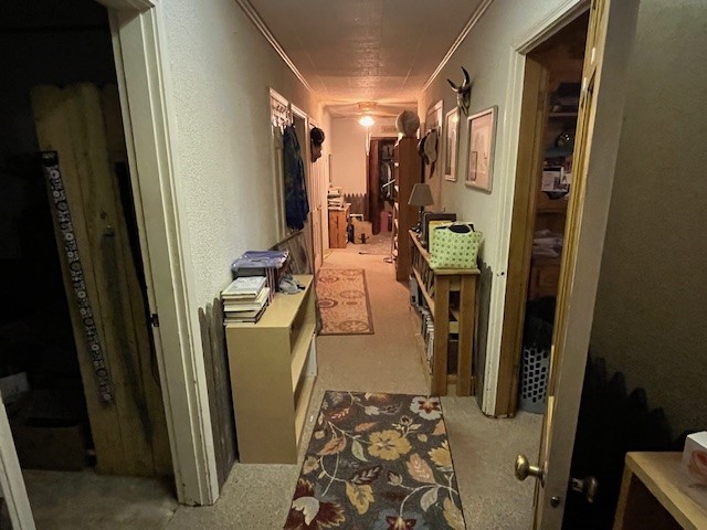 758 County Road 317 Rotan TX 79546