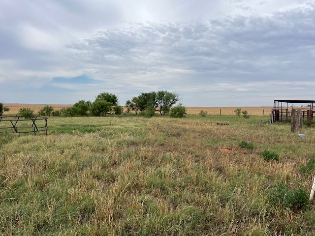 758 County Road 317 Rotan TX 79546