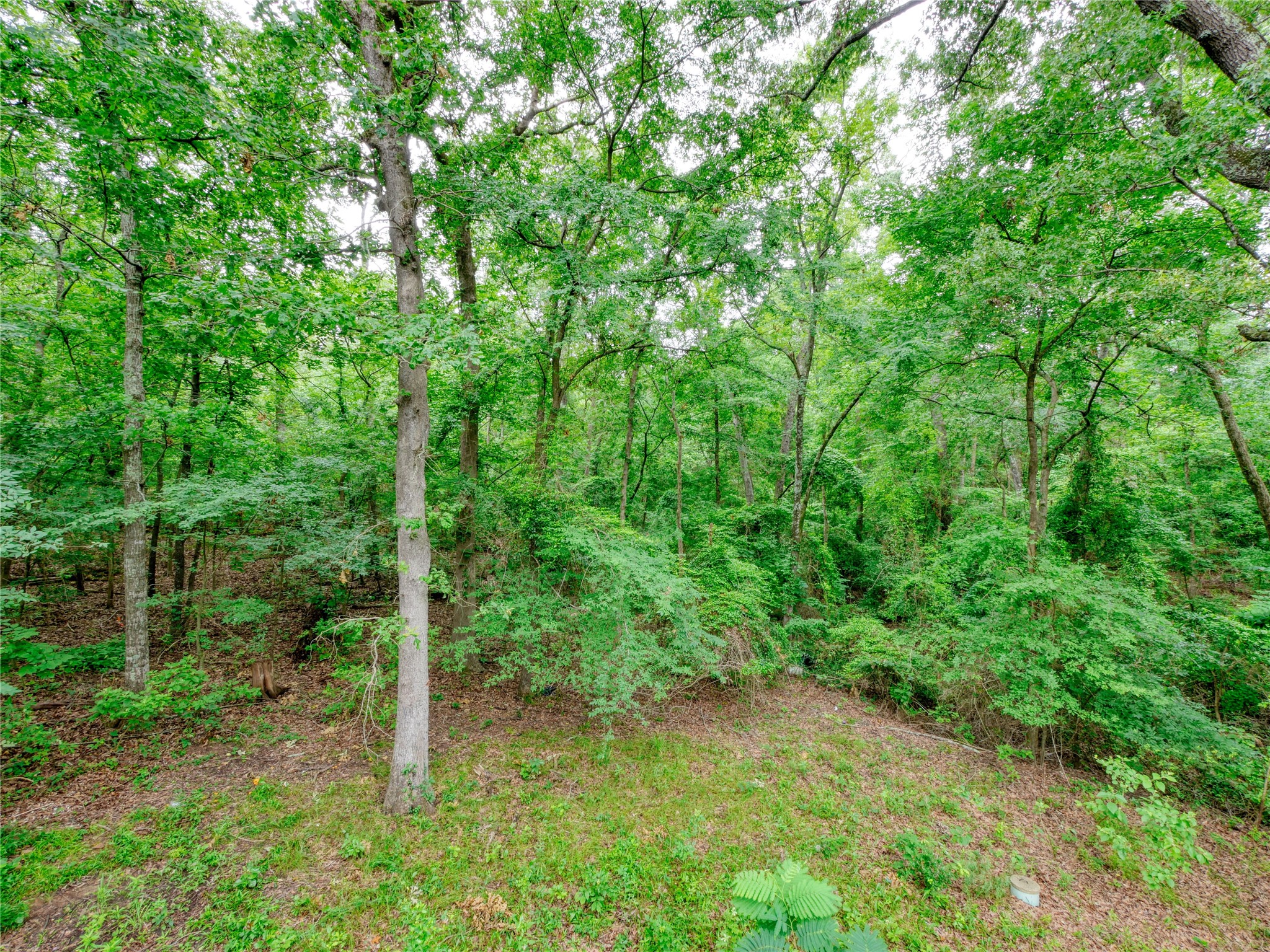 1508 Canadian Drive Scroggins TX 75480