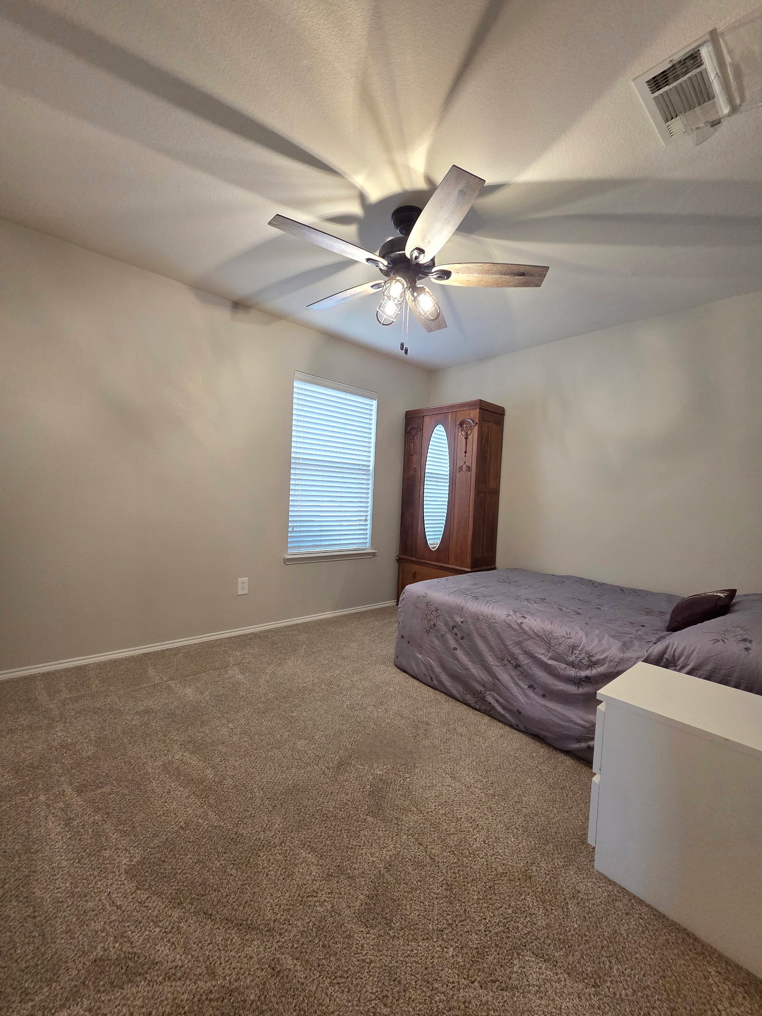 217 Cedar Crest Drive Justin TX 76247