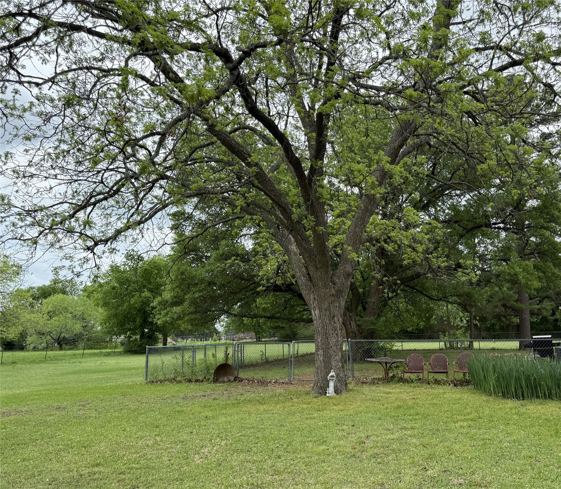 2328 Fm 2071 Gainesville TX 76240