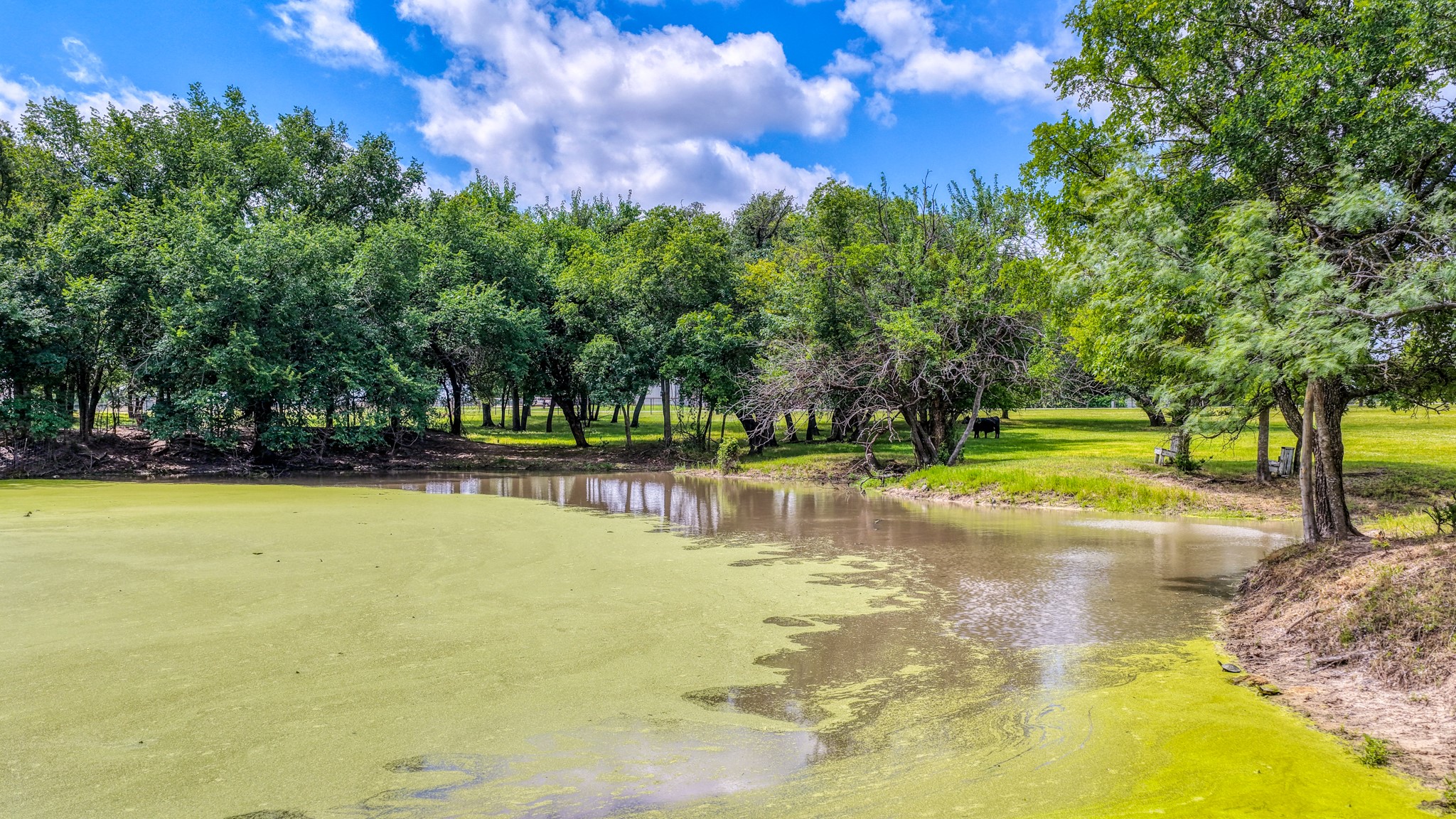 1275 Old Reno Road Reno TX 76082