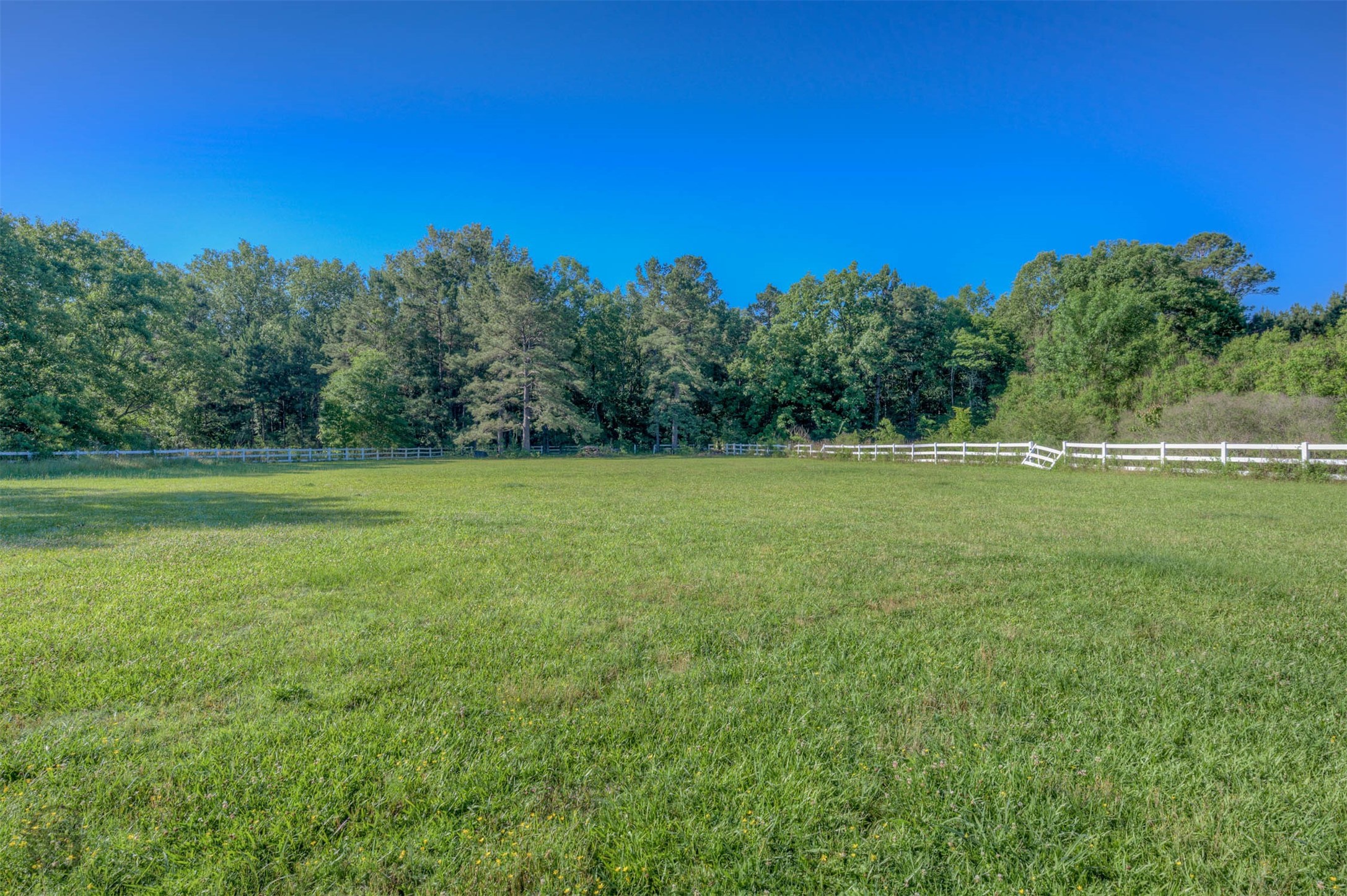 2029 Coastal Drive Princeton LA 71067