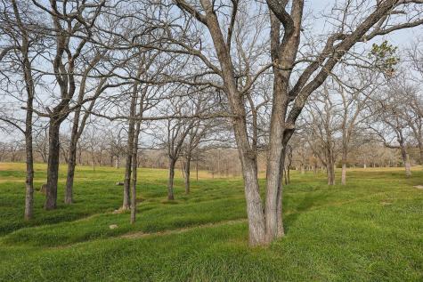 155 Private Road 4391 Decatur TX 76234