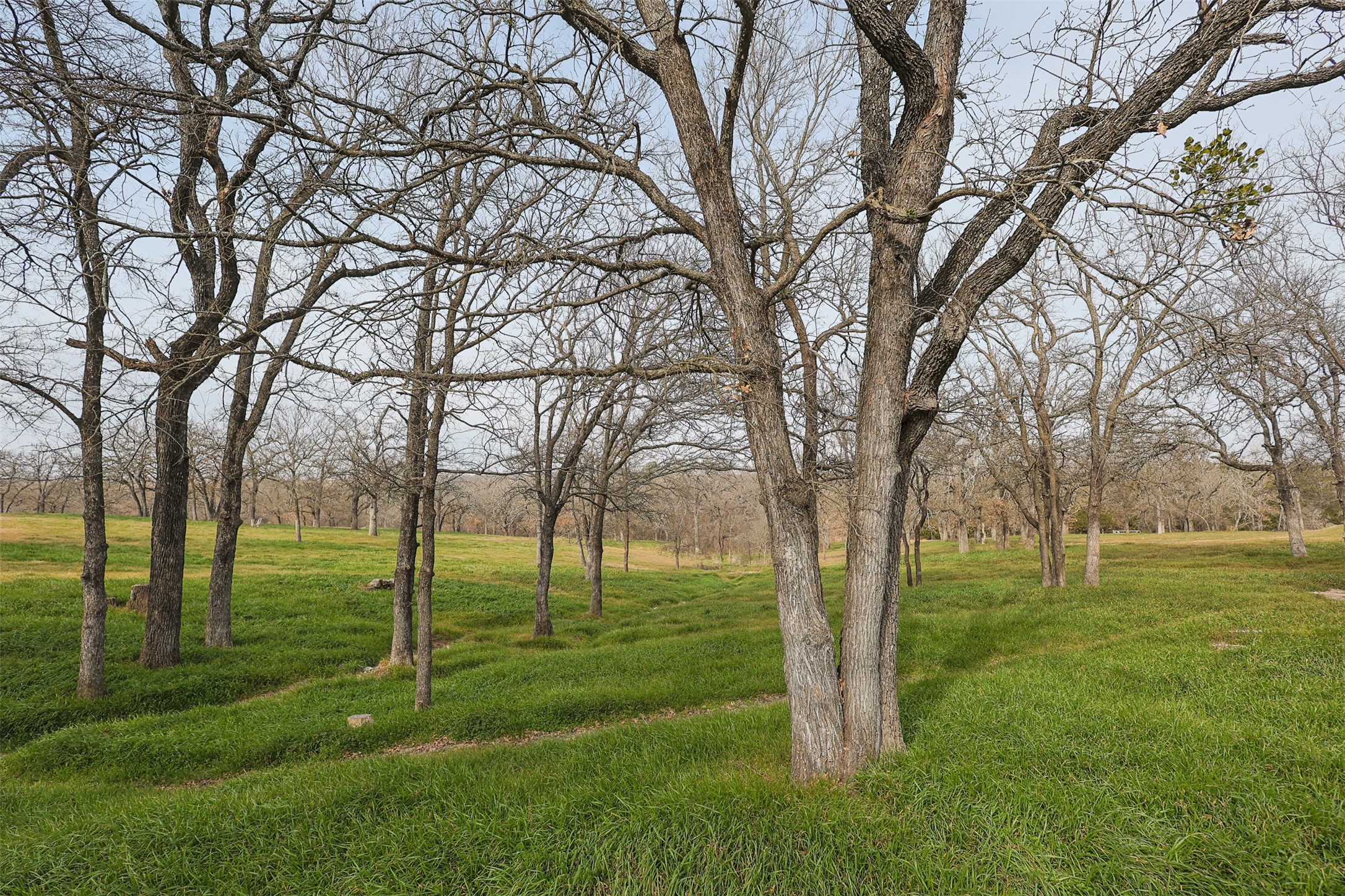 155 Private Road 4391 Decatur TX 76234