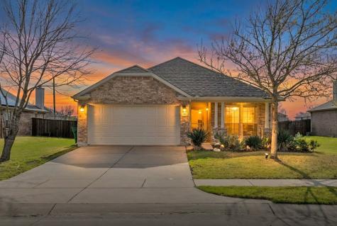 116 Bison Meadow Drive Waxahachie TX 75165