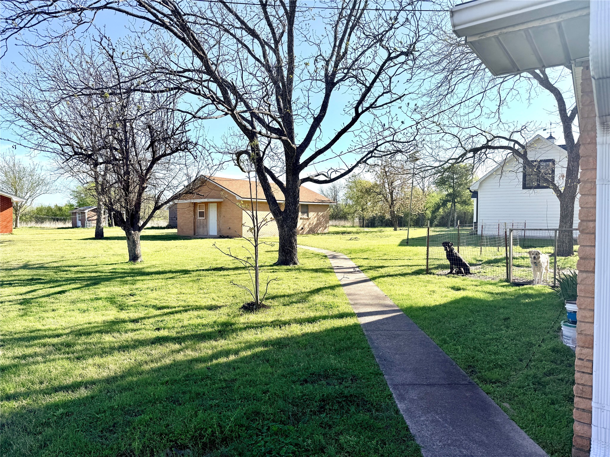 429 Agnes Avenue Marlin TX 76661