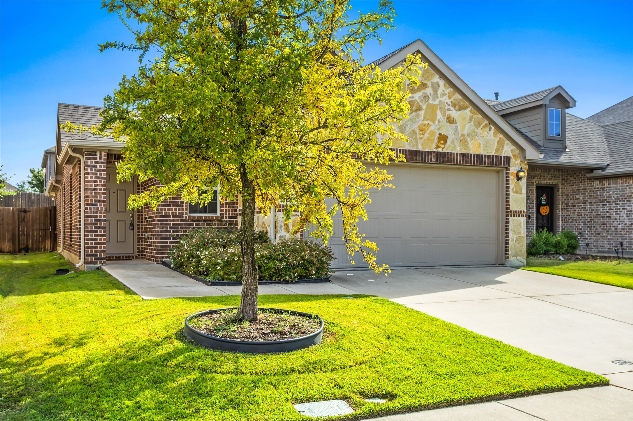 9909 Timberwolf Mckinney TX 75071