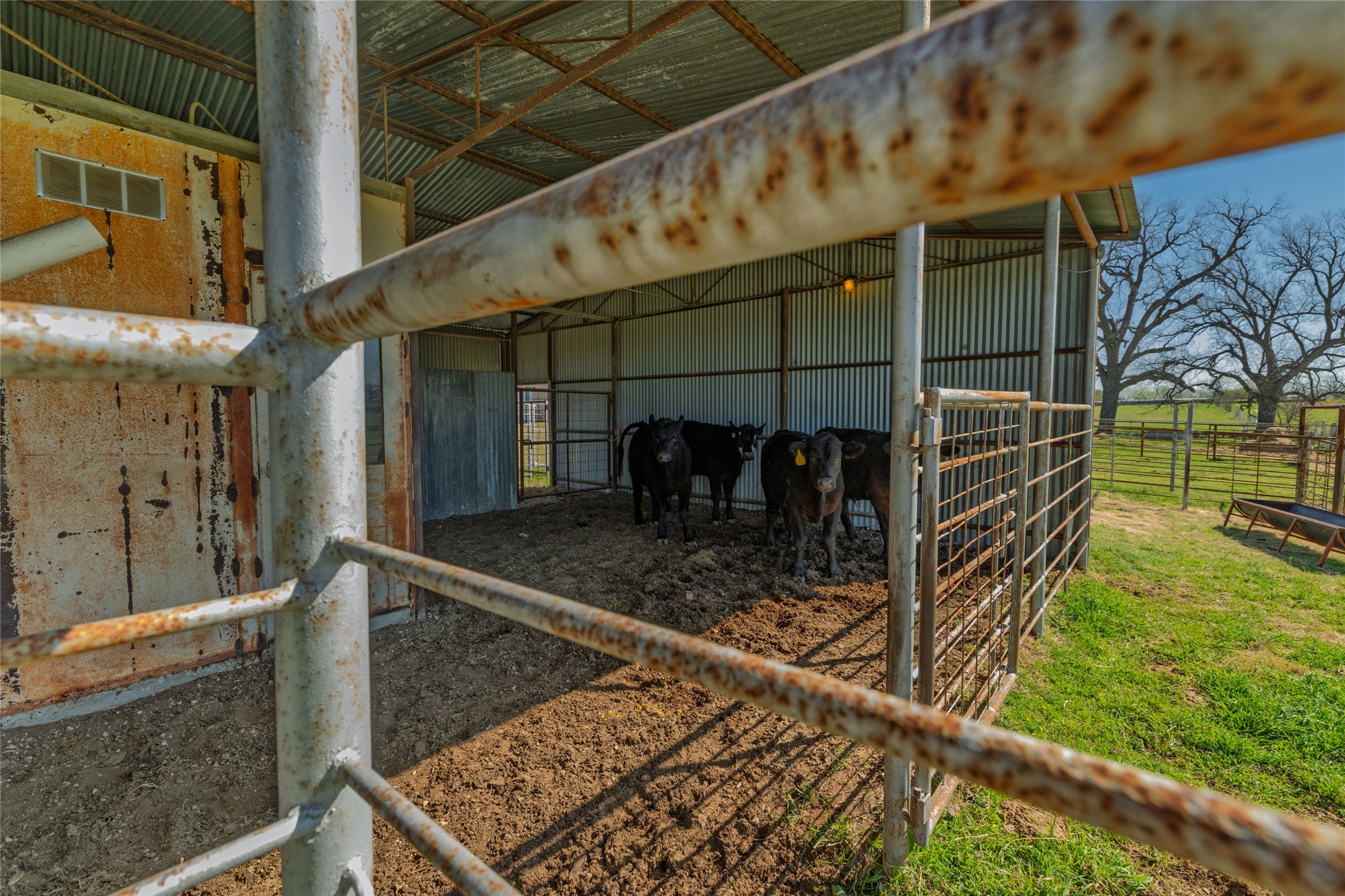 6634 Tim Donald Road Justin TX 76247
