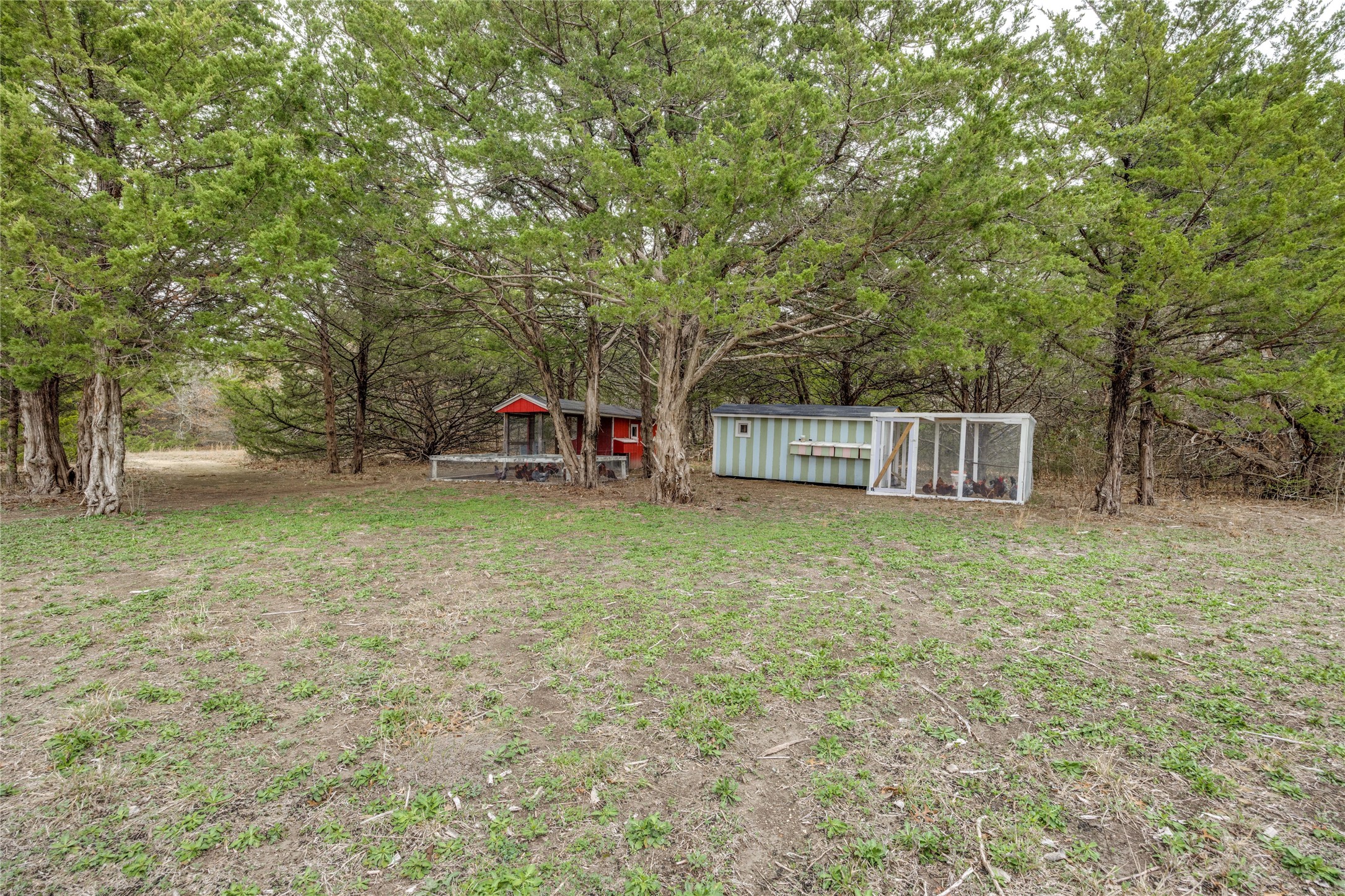 1462 Durham Road Whitewright TX 75491