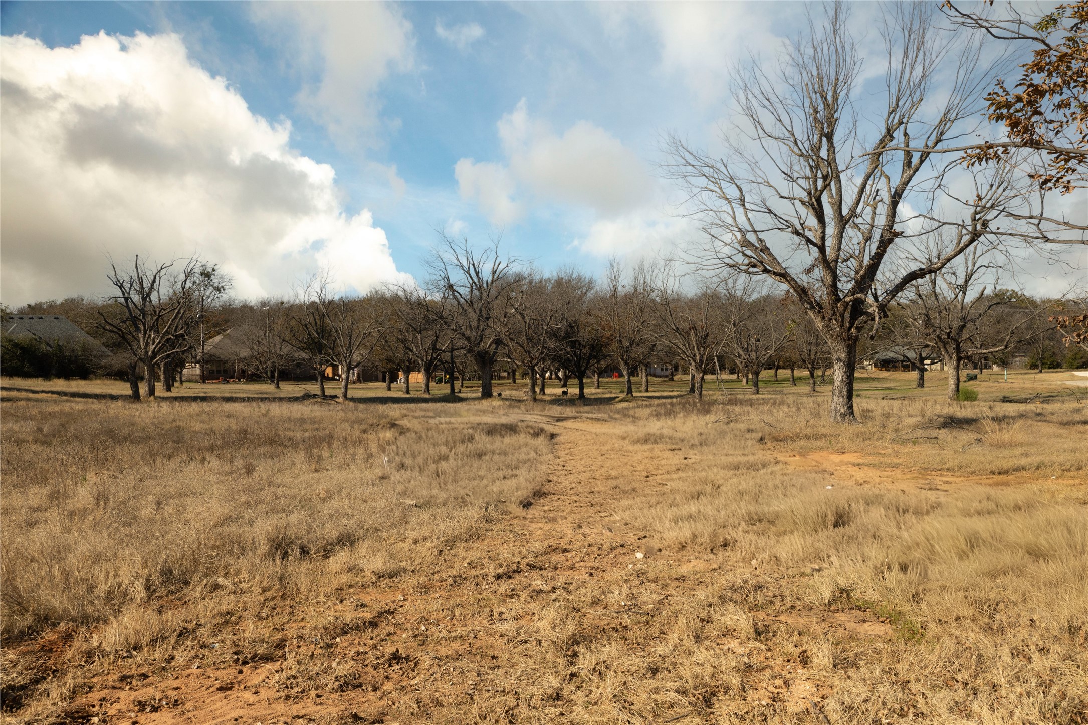 544 High Tower Lane Granbury TX 76049