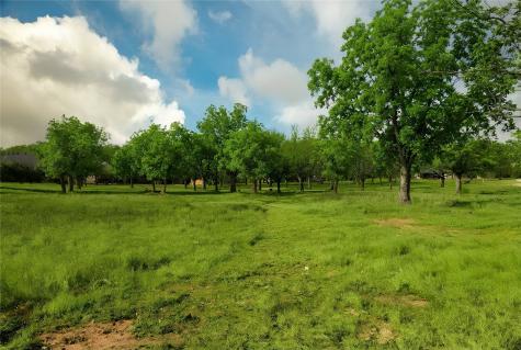 544 High Tower Lane Granbury TX 76049