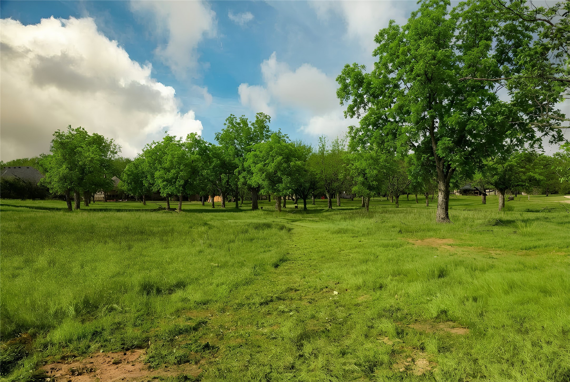 544 High Tower Lane Granbury TX 76049