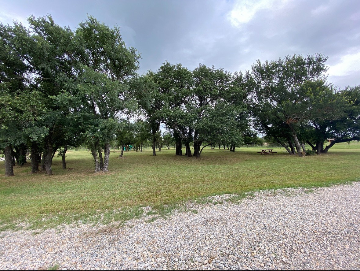 1020 Turkey Meadows Lane Weatherford TX 76088