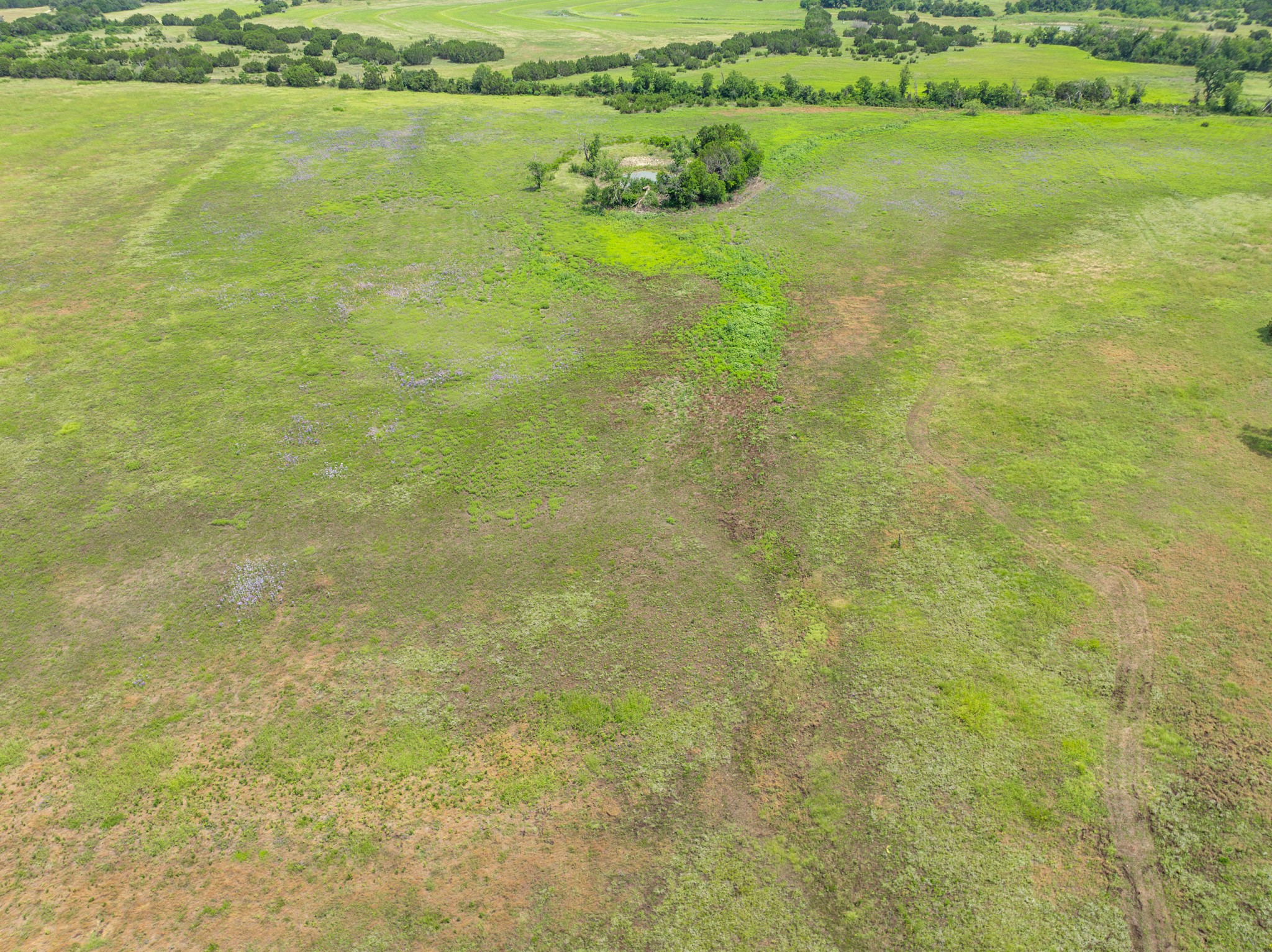 Lot 4 County Road 410 Evant TX 76525