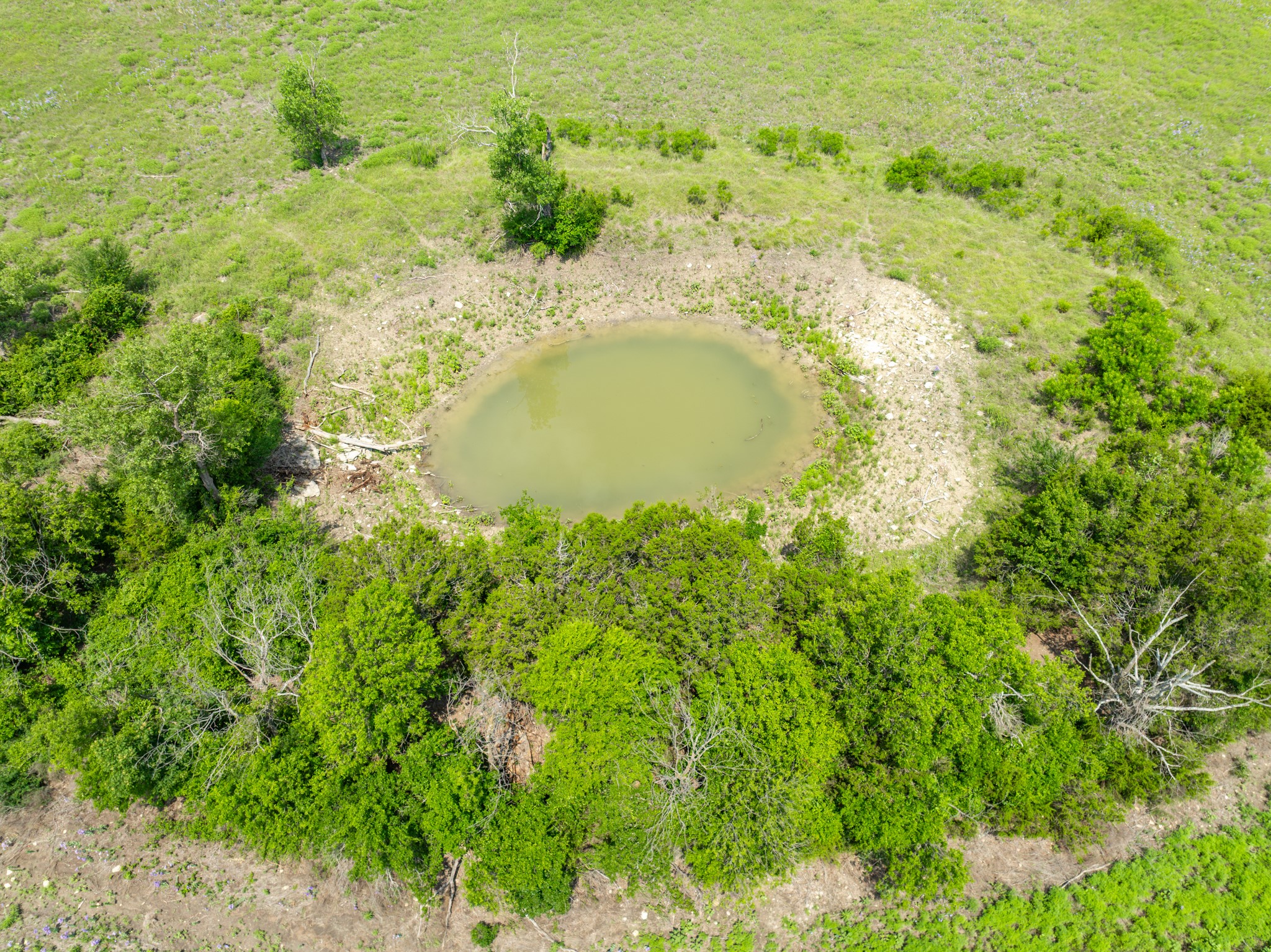 Lot 4 County Road 410 Evant TX 76525