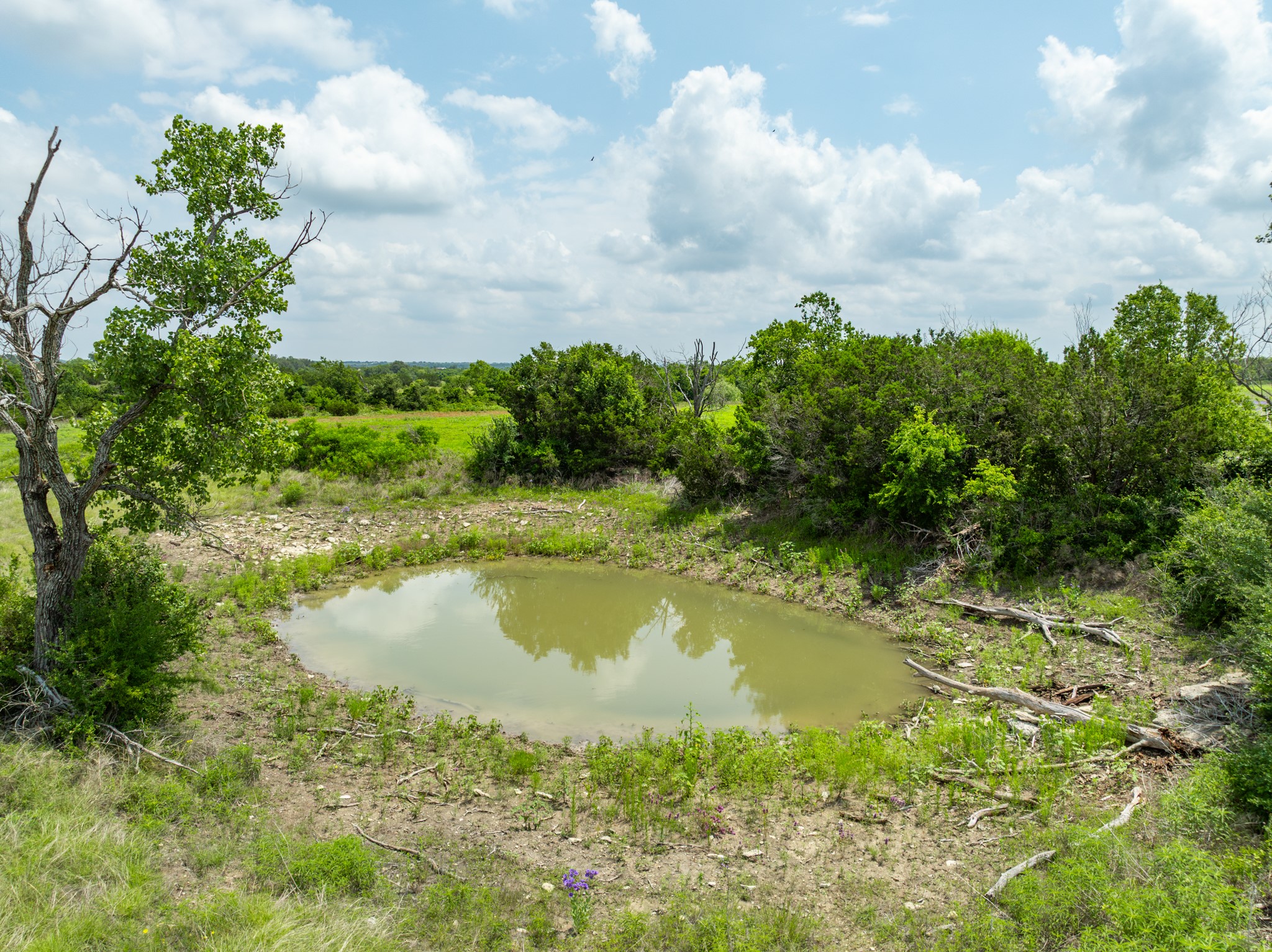Lot 4 County Road 410 Evant TX 76525