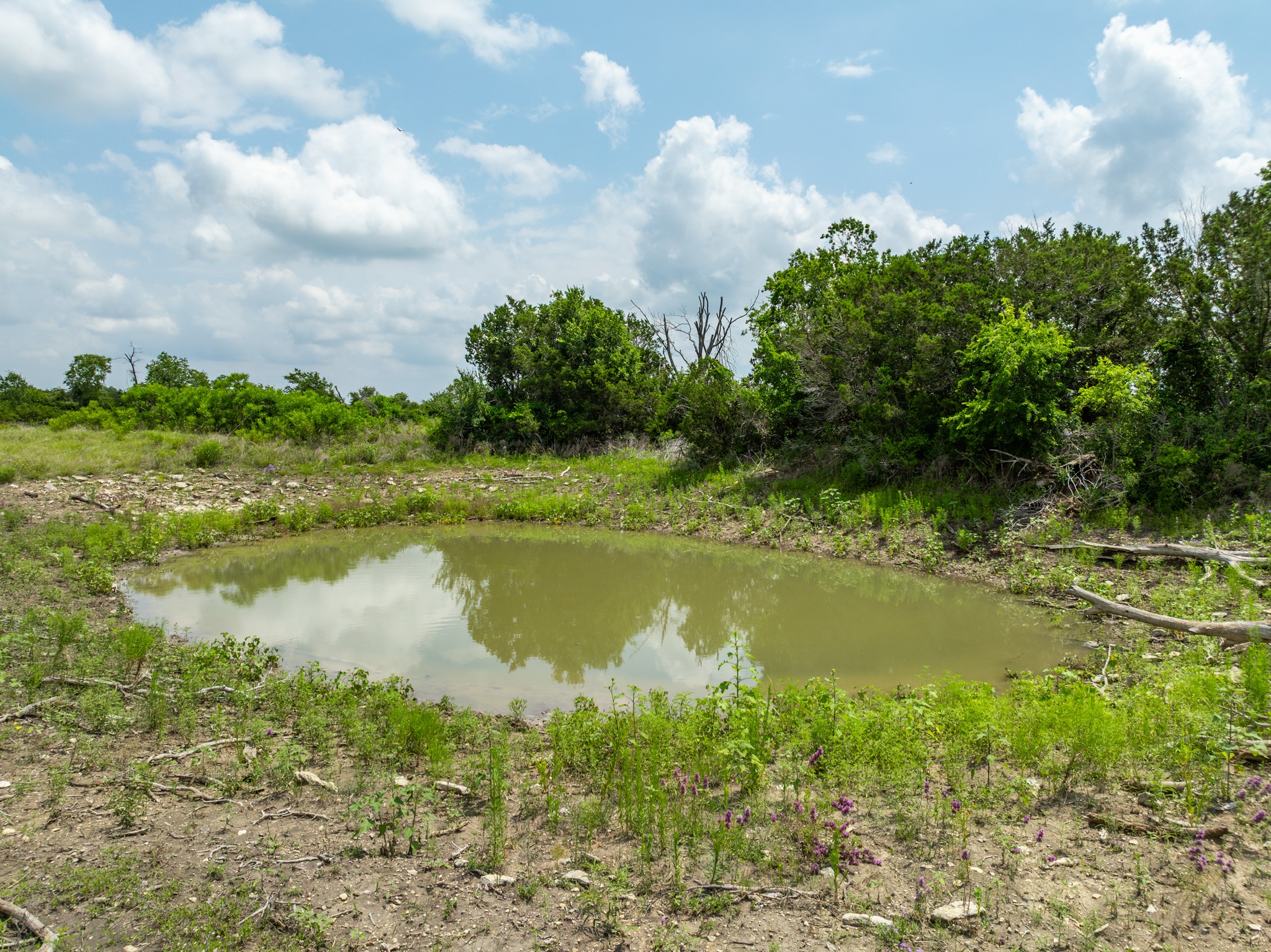 Lot 4 County Road 410 Evant TX 76525