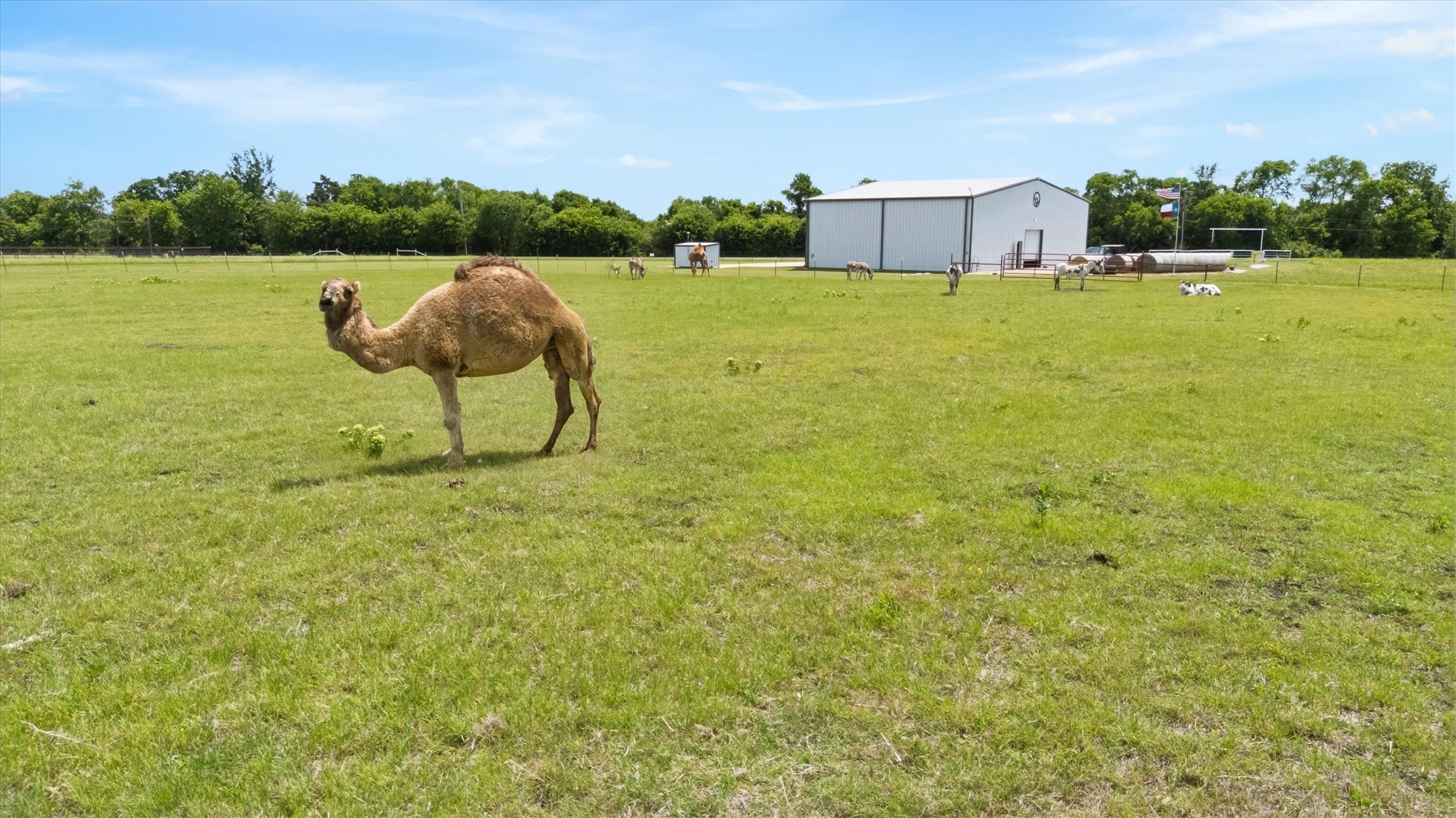 14705 County Road 545 Nevada TX 75173