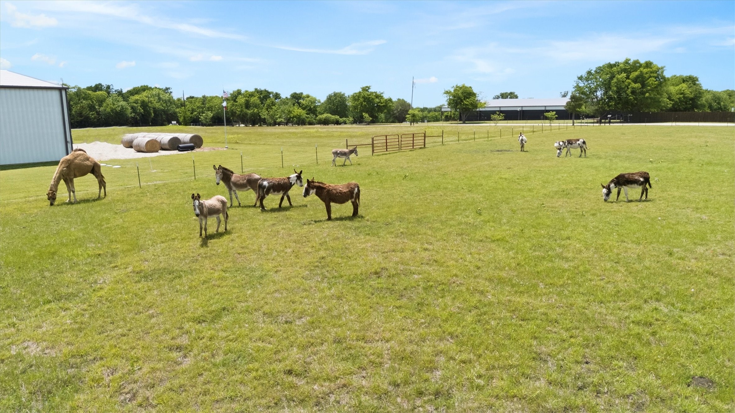 14705 County Road 545 Nevada TX 75173