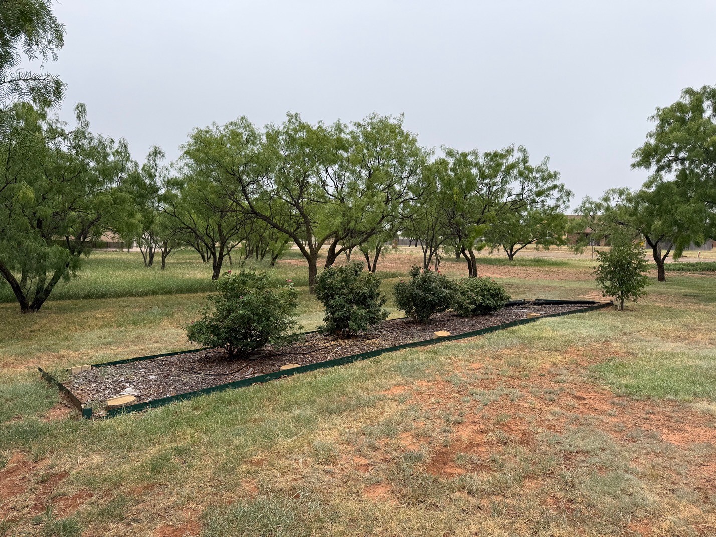 109 Pilgrim Road Abilene TX 79602