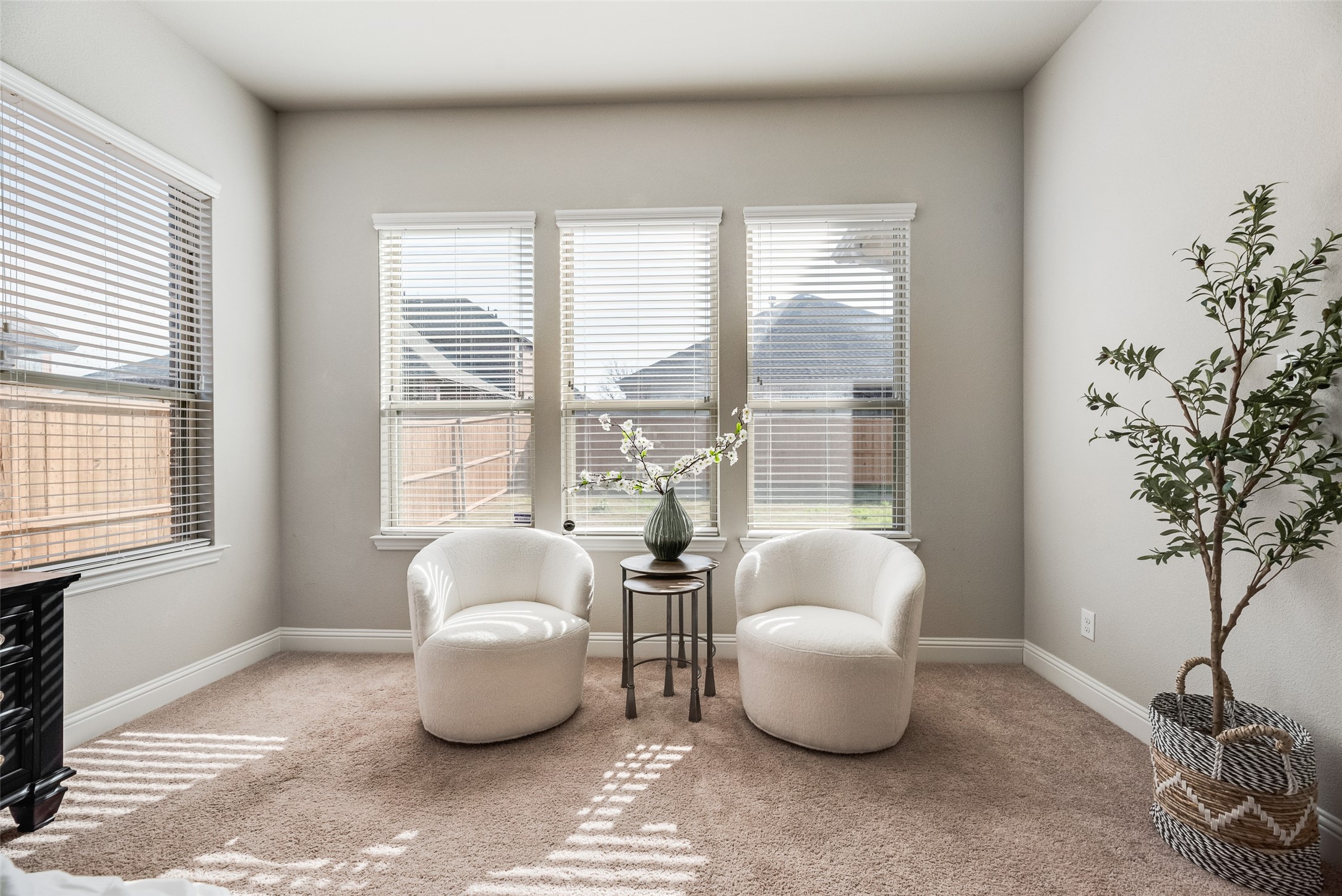 2407 Maston Drive Anna TX 75409