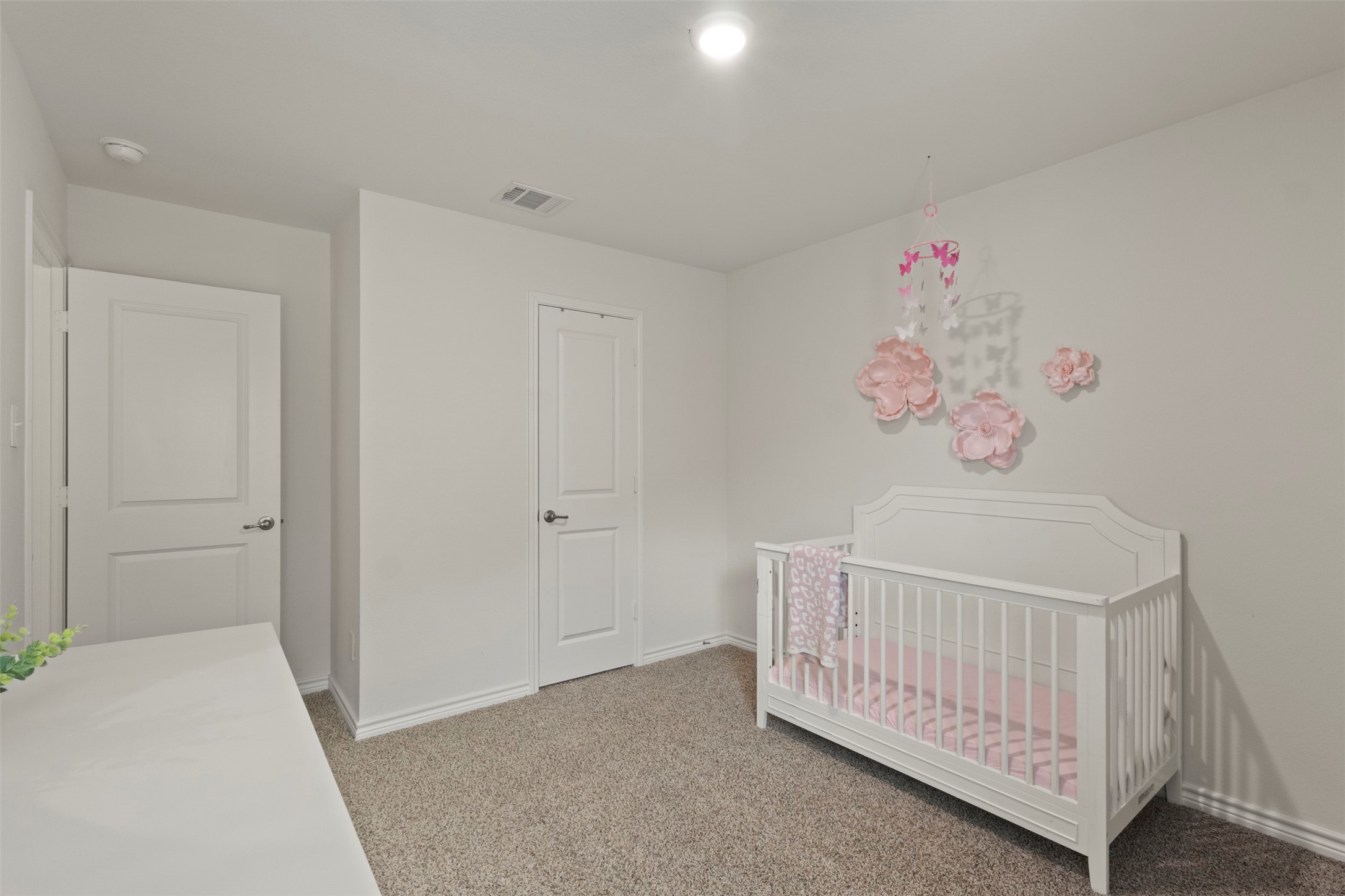 1602 Maple Ridge Drive Princeton TX 75407