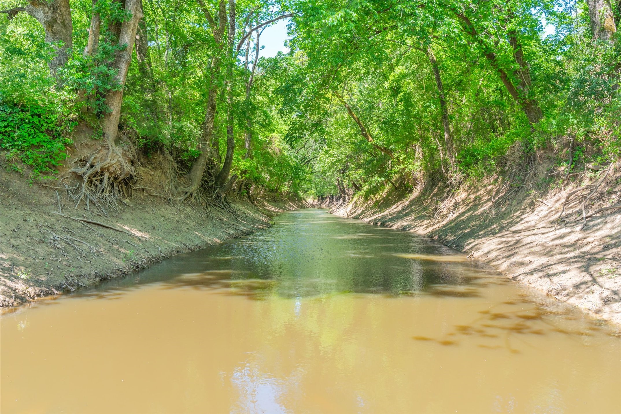 1189 Vz County Road 3702 Edgewood TX 75117