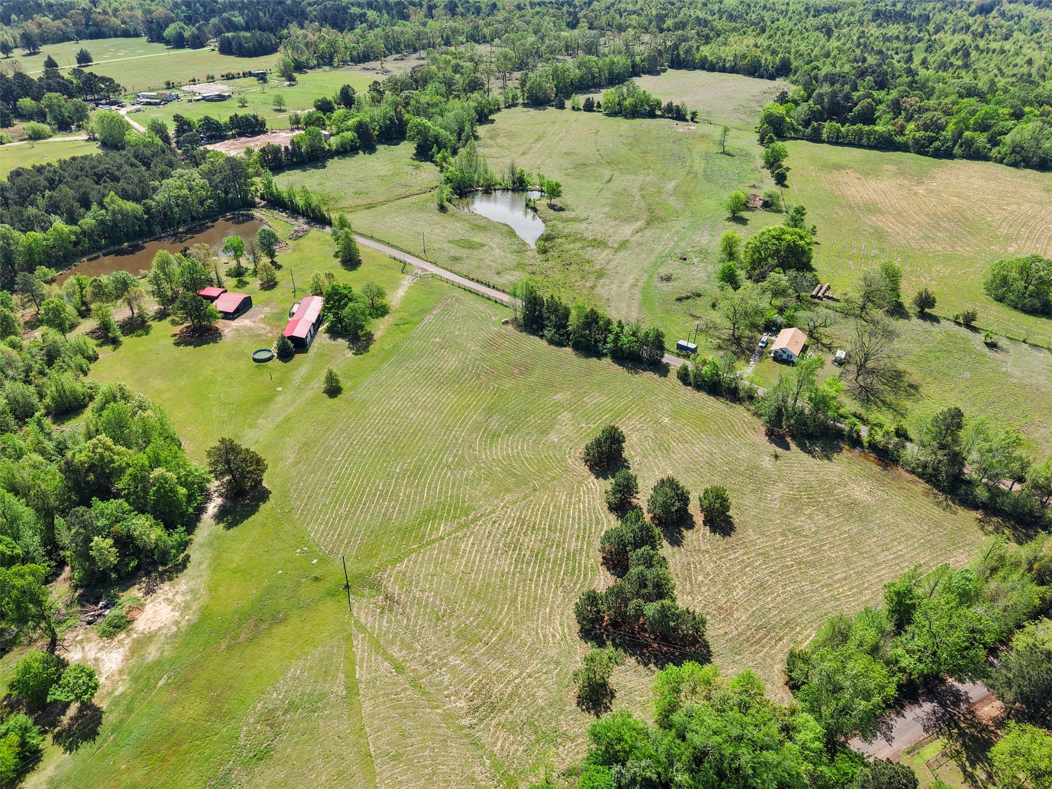 1333 Lupine Road Gilmer TX 75644
