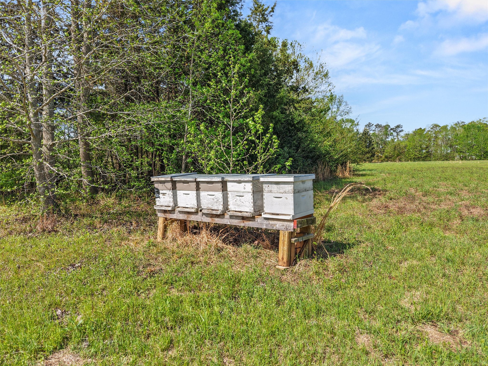 1333 Lupine Road Gilmer TX 75644