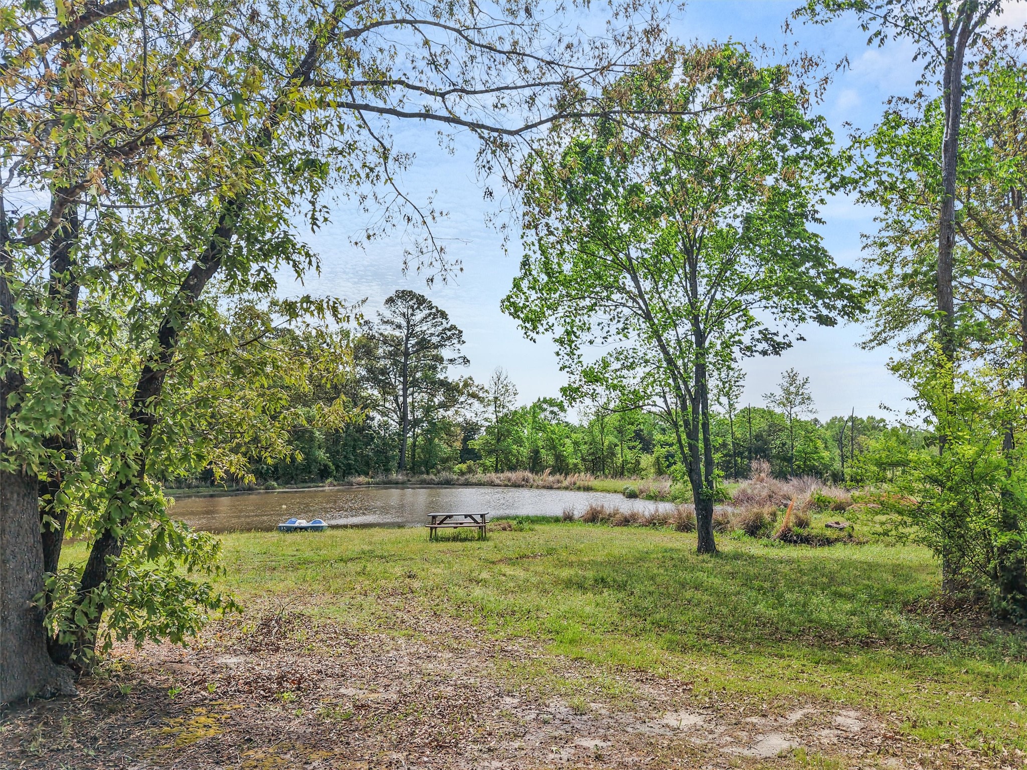 1333 Lupine Road Gilmer TX 75644