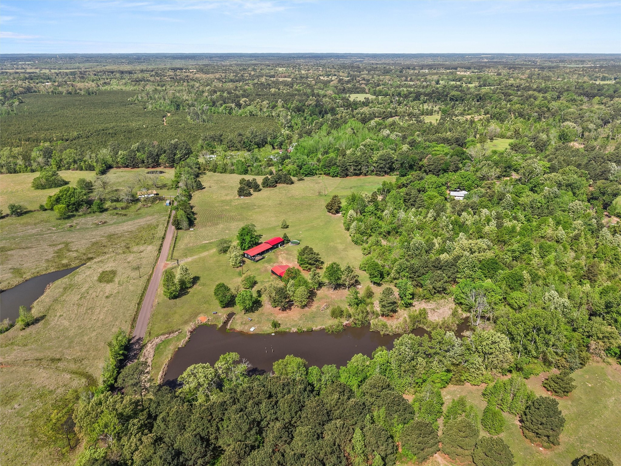 1333 Lupine Road Gilmer TX 75644