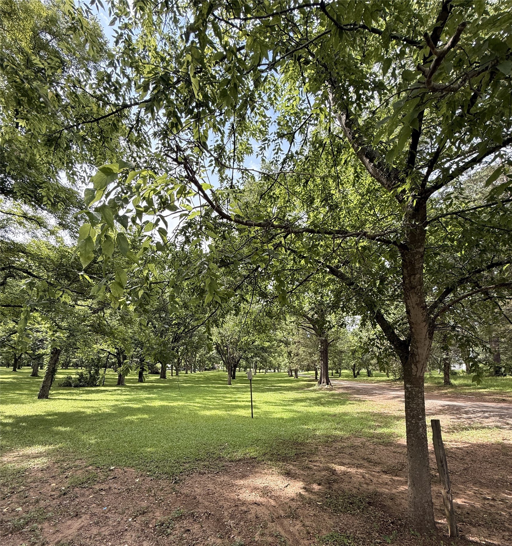 802 Caddo Lease Mooringsport LA 71060