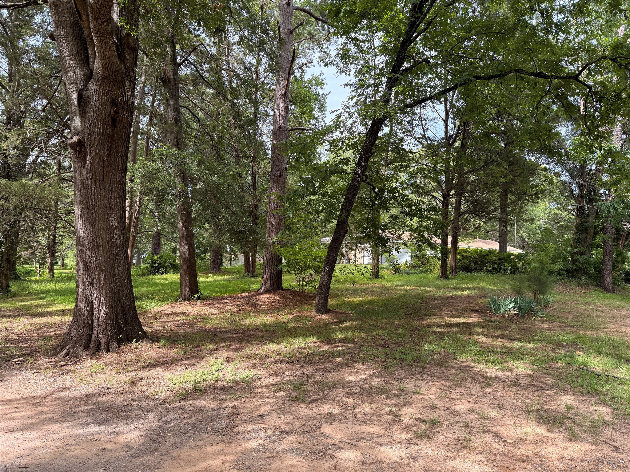 802 Caddo Lease Mooringsport LA 71060