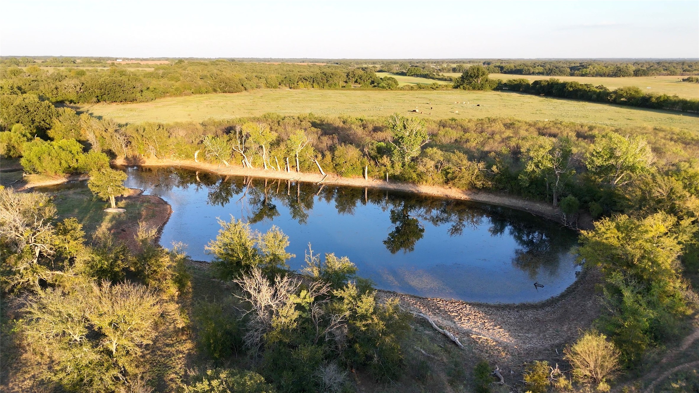 2401 Highway 679 Gorman TX 76454