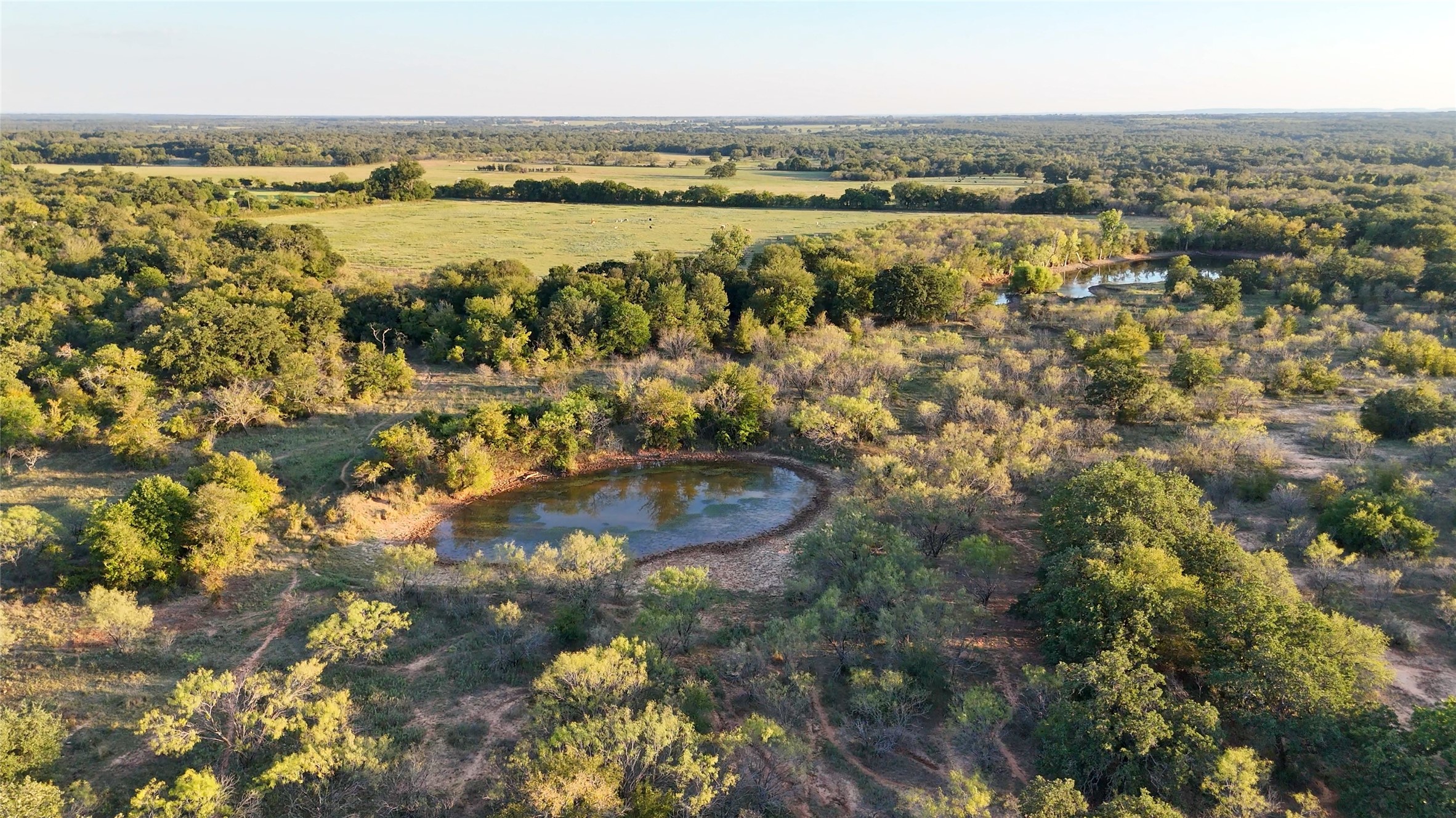 2401 Highway 679 Gorman TX 76454