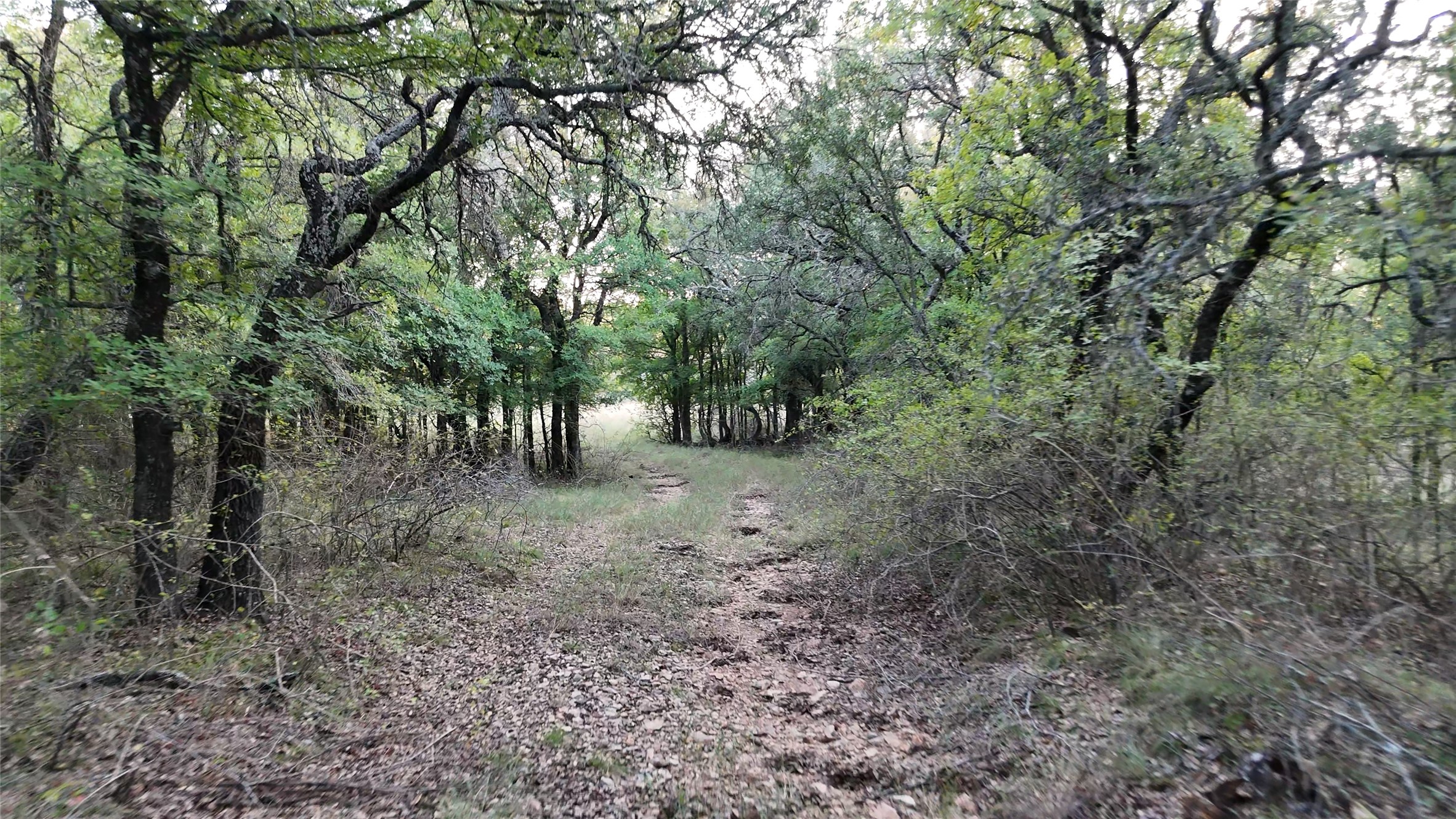 2401 Highway 679 Gorman TX 76454