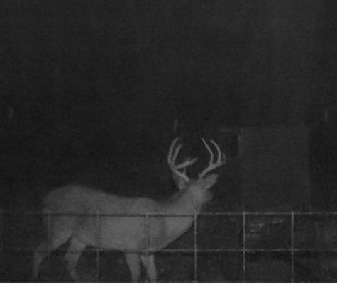 902 Vz County Road 3710 Edgewood TX 75117