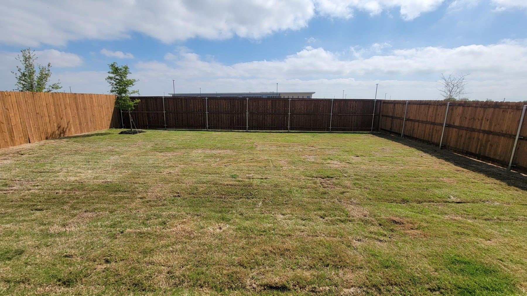 11133 Lone Ranger Lane Fort Worth TX 76036