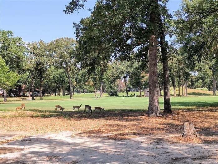 203 Saint Andrews Drive Mabank TX 75156
