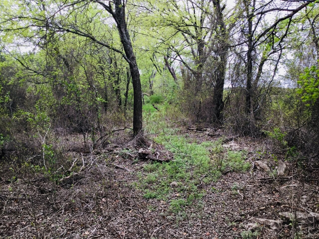 1500 County Road 2850 Kopperl TX 76652