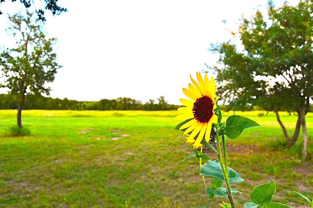 1500 County Road 2850 Kopperl TX 76652