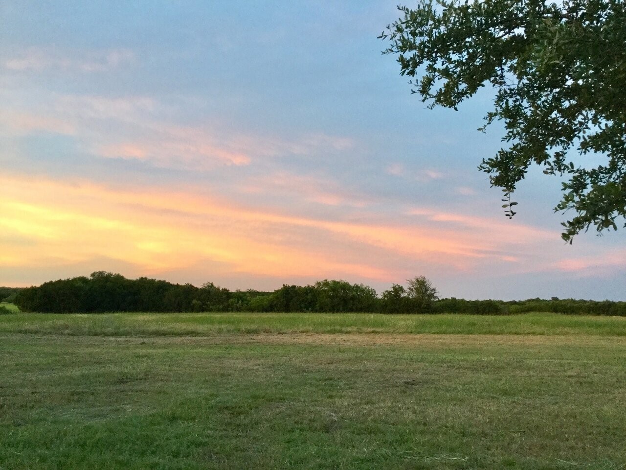 1500 County Road 2850 Kopperl TX 76652